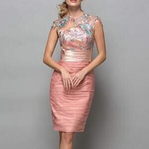 Bridess NWT Rose Pink Sheer Applique Flowers Sequin Pleated Formal Sheath Dress